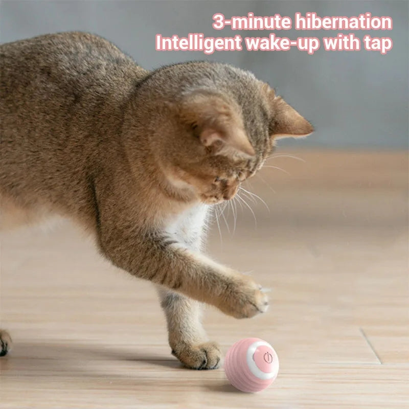 PELOTA RECARGABLE INTERACTIVA PARA MASCOTAS
